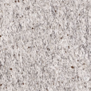 世贸金麻 CABR-T 69008P